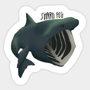 Huh Shark Predator Sticker